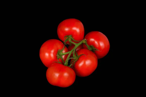 Ramo Com Tomates Vermelhos Fundo Preto — Fotografia de Stock