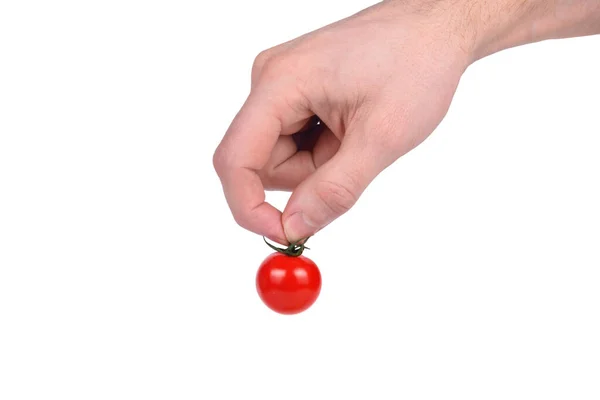 Mano Hombre Sostiene Tomate Cereza Sobre Fondo Blanco — Foto de Stock