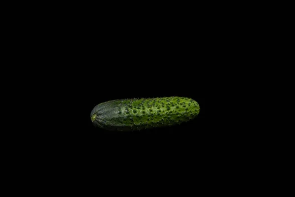 Fresh Green Cucumber Black Background — Stock Photo, Image