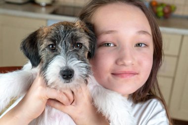 Güzel bir kız elinde Jack Russell Terrier köpeği tutuyor. Kameraya bak.