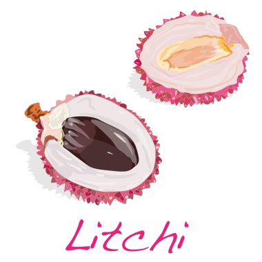 Lychee izole. Vektör.