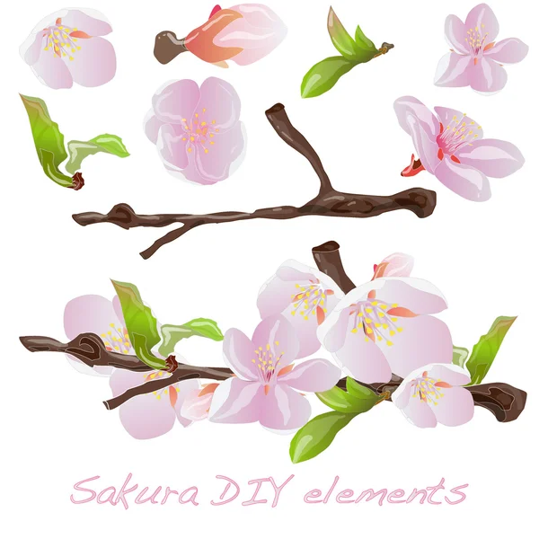 Sakura flores elementos . — Vetor de Stock