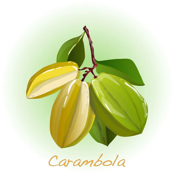 Geel fruit carambola's vector — Stockvector