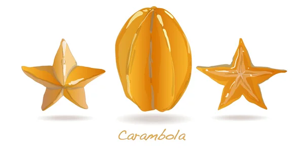 노란색 과일 carambola 벡터 — 스톡 벡터