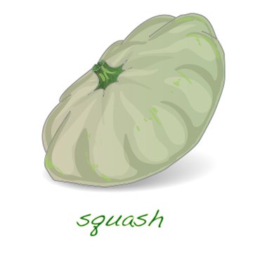 Taraklı muhallebi squash vektör