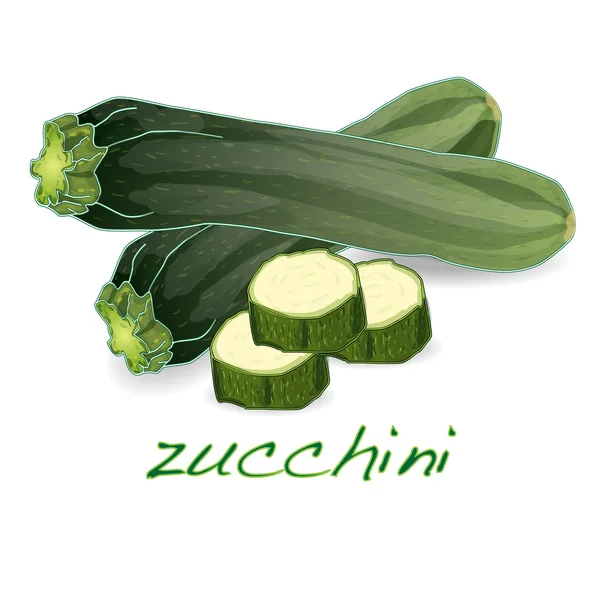 Green zucchini vector — Stock Vector