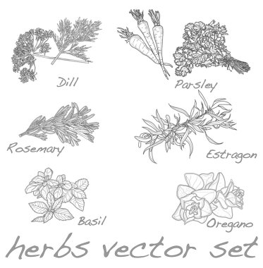 herbs vector set clipart
