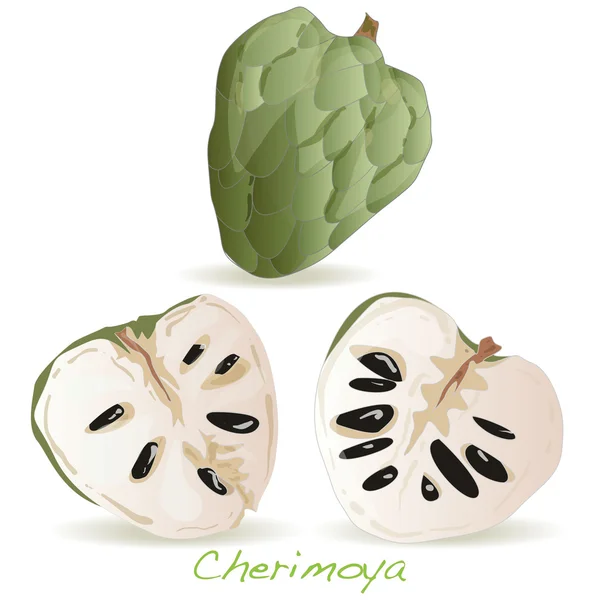 Manzana natillas o vector cherimoya — Vector de stock