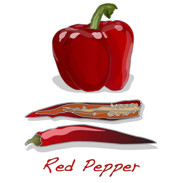 Rode peper over witte achtergrond — Stockvector