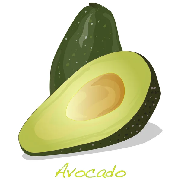 Avocado isoliert auf weiß — Stockvektor