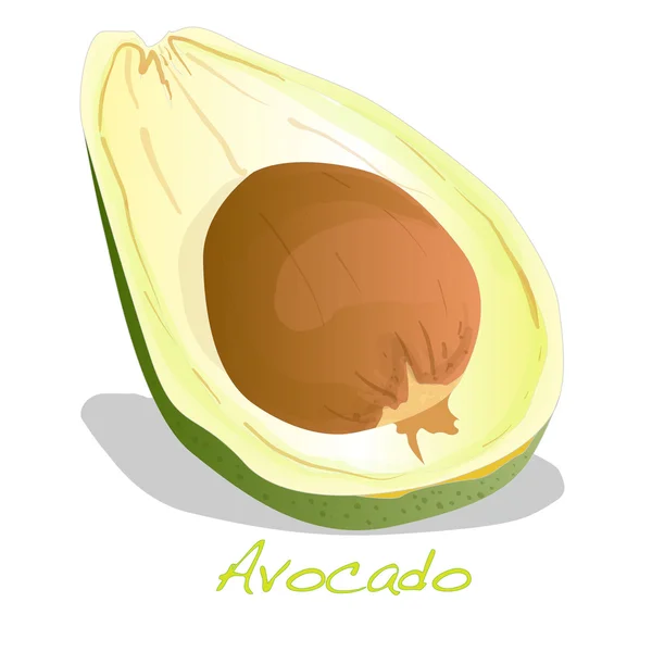 Avocat isolé sur blanc — Image vectorielle