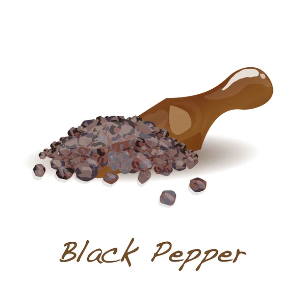 Black pepper vector isolated — Stock Vector