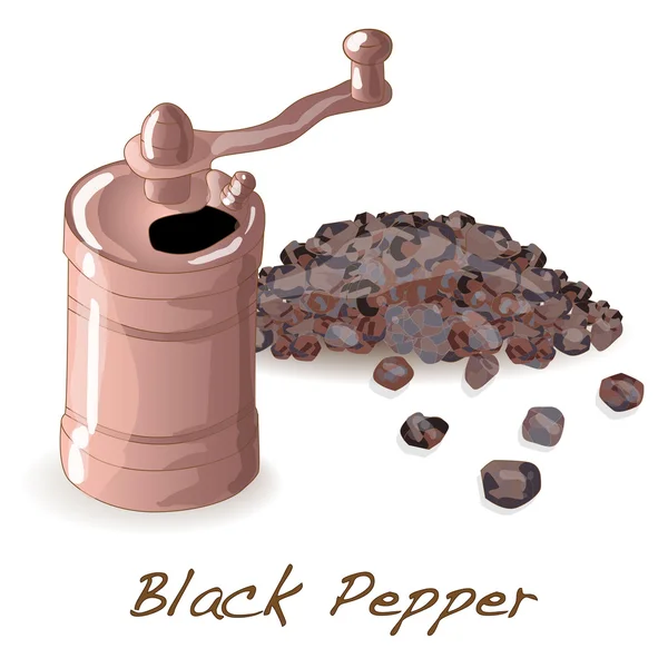 Zwarte peper aren vector — Stockvector