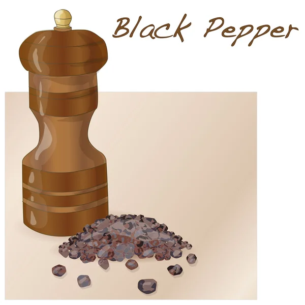 Black pepper vector isolated — Stock Vector