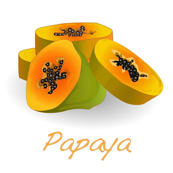 Vers en smakelijk papaya — Stockvector