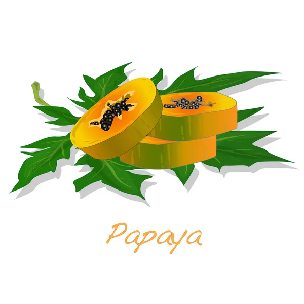 Vers en smakelijk papaya — Stockvector