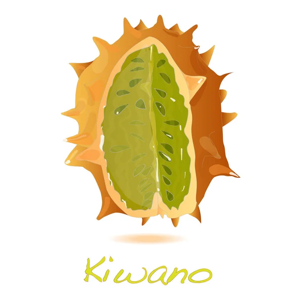 Kiwano melón vector — Vector de stock