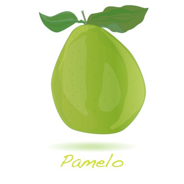 İzole pomelo veya Çince greyfurt