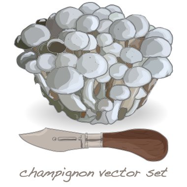 champignon vektör çizim ayarla