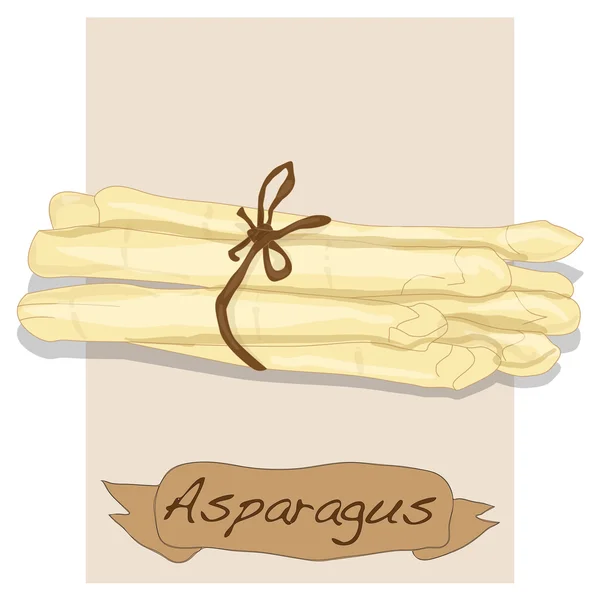 Fres asperges vector — Stockvector