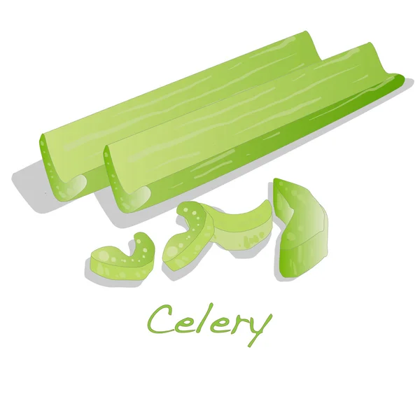 Green fresh celery isolated on white. — Stock Vector
