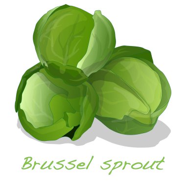 İzole Brussel Filiz 