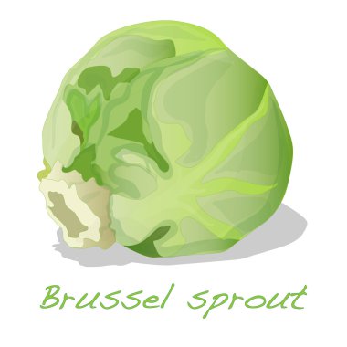 İzole Brussel Filiz 