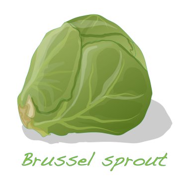 İzole Brussel Filiz 