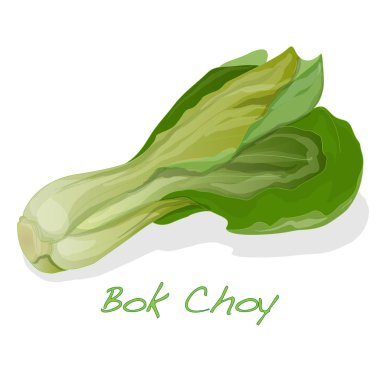 Bok choy sebze vektör 
