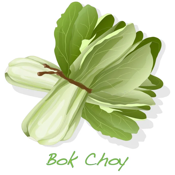 Bok choy növényi vektor — Stock Vector