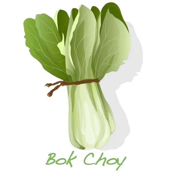 Bok choy vetor vegetal —  Vetores de Stock