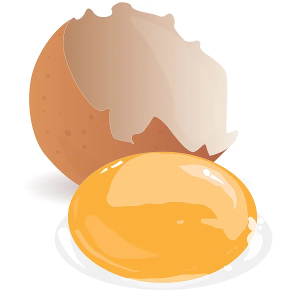 壊れた卵分離ベクトル — ストックベクタ