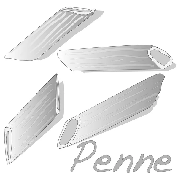 Pastas de penne sin cocer — Vector de stock