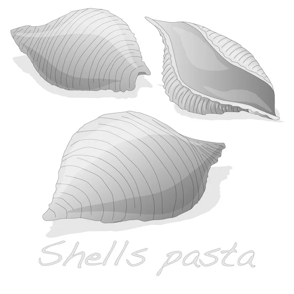 Pasta - Conchiglioni "Shell Pasta" — Vector de stock