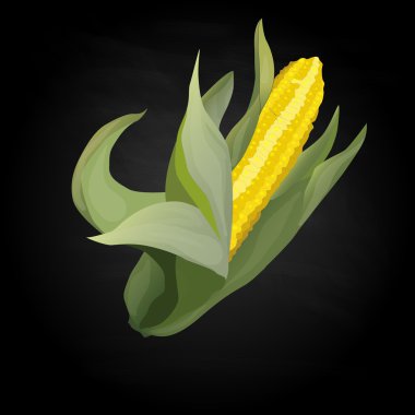 Sarı mısır koçanı üzerinde