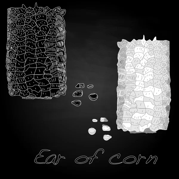 Кукурудза на ядрах кору — стоковий вектор
