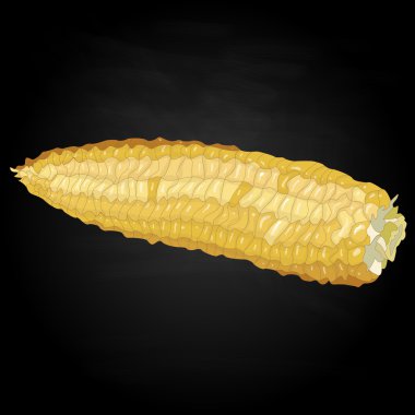 Mısır koçanı çekirdekler üzerinde