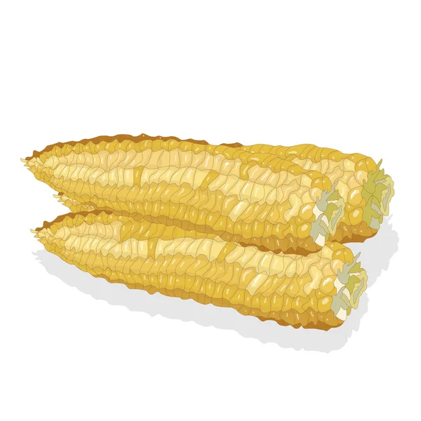 Jagung pada kernel tongkol - Stok Vektor