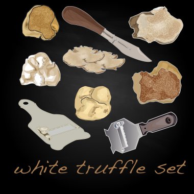 Truffle vektör çizim