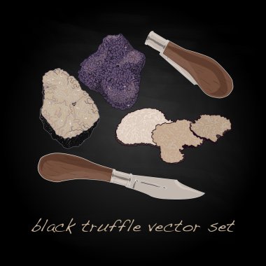 Truffle vektör çizim