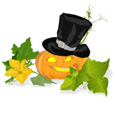 Balkabağı vektör illüstrasyonu