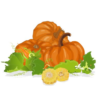 Kabaklar ve Mısır ile Mevsimlik arka plan