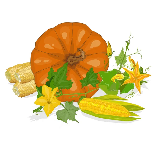 Сезонний фон з гарбузами та кукурудзою — стоковий вектор