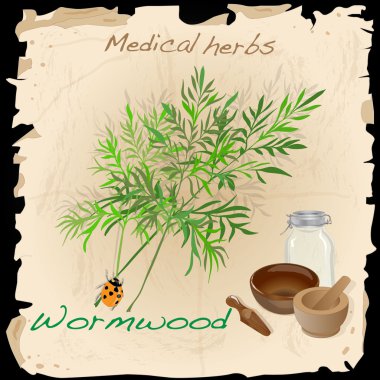 Pelin tıbbi ot. Vektör.