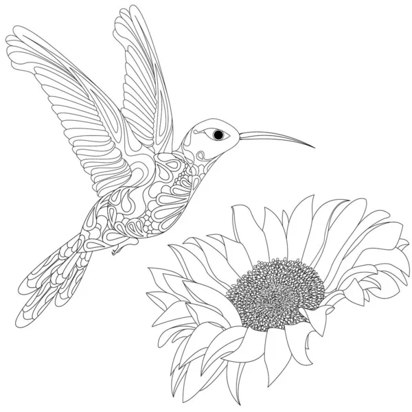 Illustration Vectorielle Colibri Colibri Avec Fleur Isolée Sur Fond Blanc — Image vectorielle