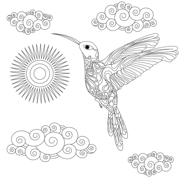 Wektor Ilustracja Kolibri Lub Kolibri Niebie Izolowane Białym Tle Kolorowania — Wektor stockowy