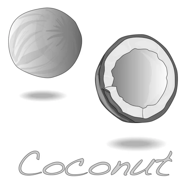 Illustrazione Vettoriale Cocco Con Metà Sfondo Bianco — Vettoriale Stock