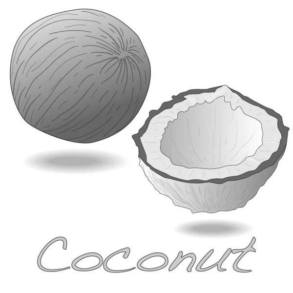 Illustration Vectorielle Noix Coco Avec Moitié Sur Fond Blanc — Image vectorielle