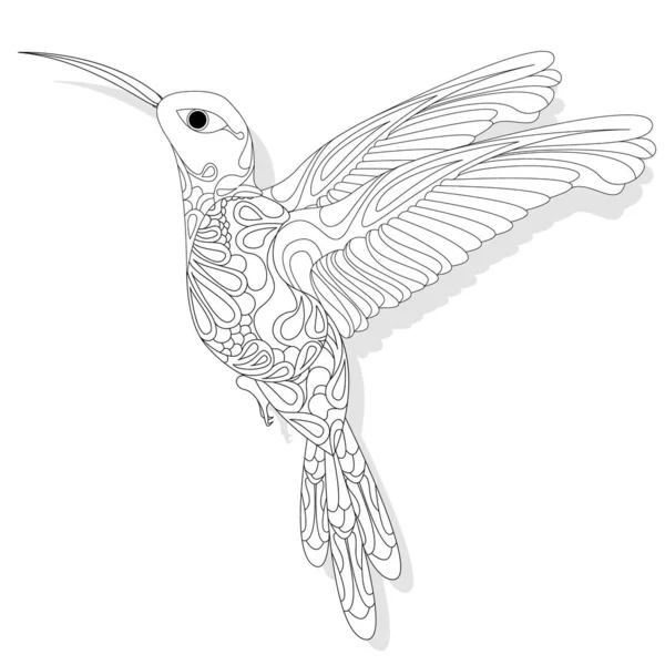 Ilustração Vetorial Beija Flor Colibri Isolado Sobre Fundo Branco Monocromático — Vetor de Stock