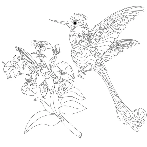 Vector Illustration Hummingbird Colibri Isolated White Background Monochrome — Stock Vector